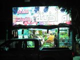 025-IMG_0210.JPG.small.jpeg